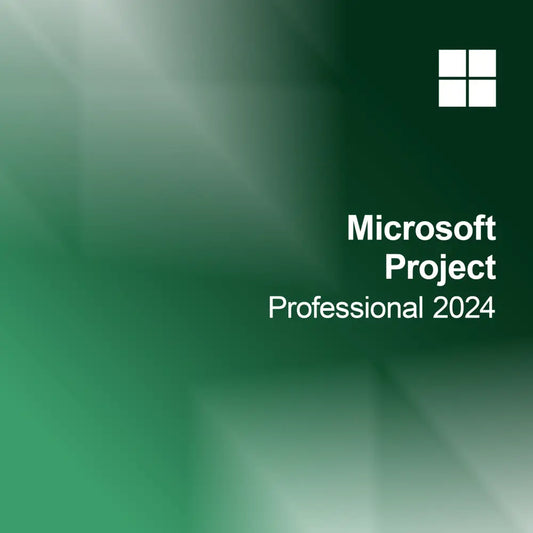 Microsoft Project Professionale 2024