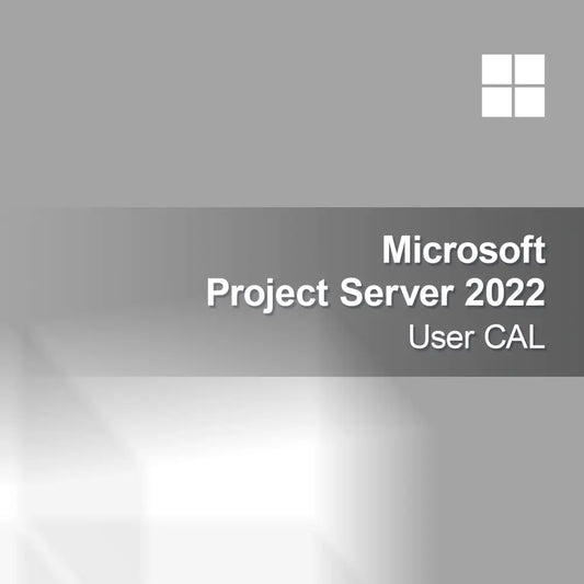 Microsoft Project Server 2022 Bruger CAL