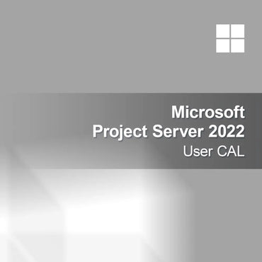 Microsoft Project Server 2022 Bruger CAL